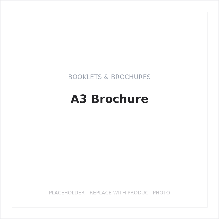 A3 Brochure